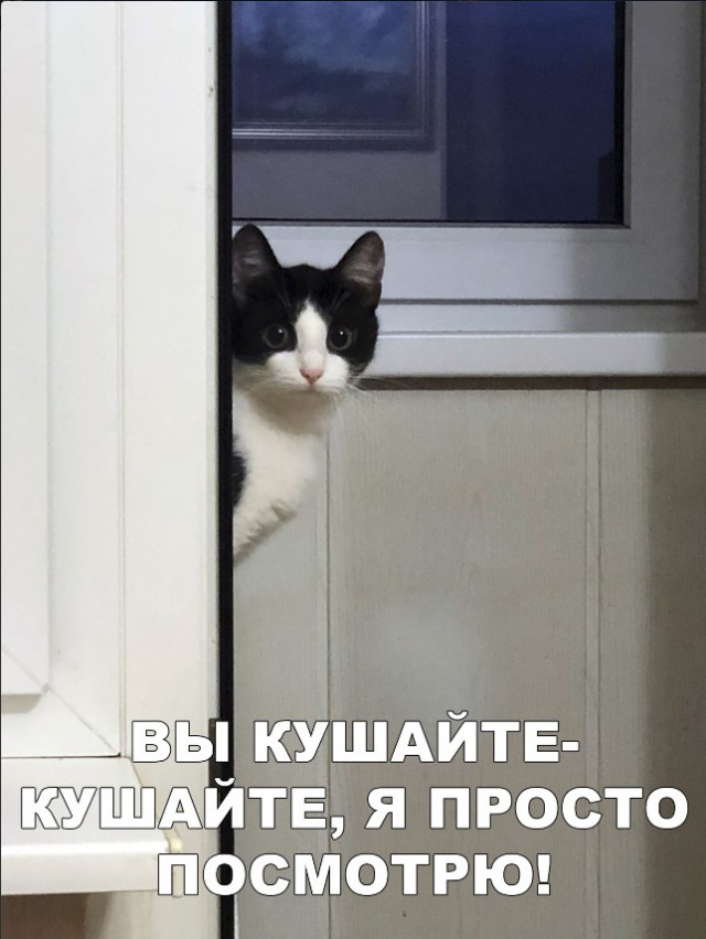 Нестандартный юмор