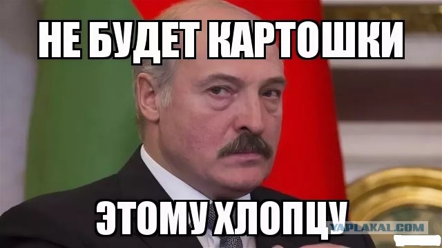 ЯП вокруг света. Германия, Австралия, Китай...