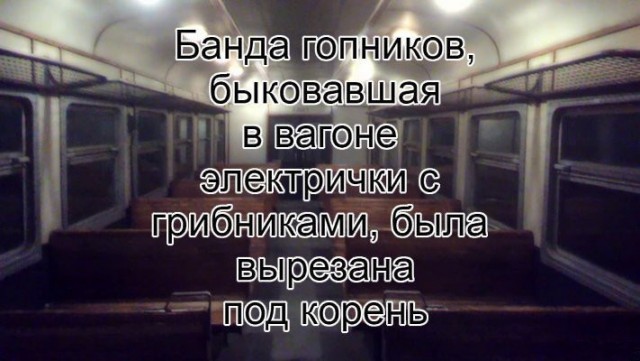 Смешные комментарии из социальных сетей 08.05.2019