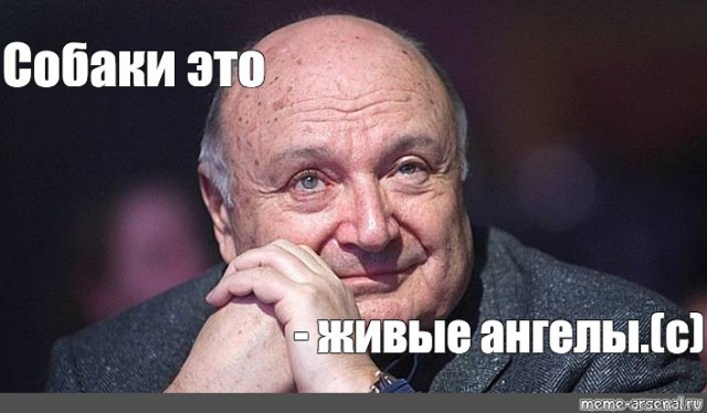 Анекдоты, истории и картинки с надписями