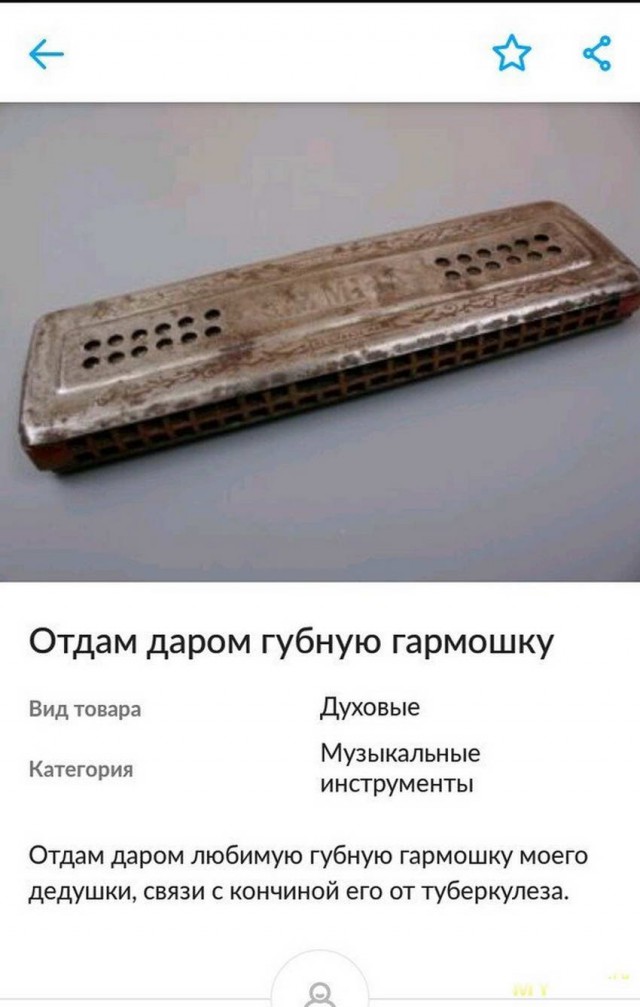 Занимательная антропология