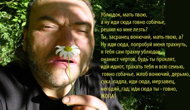 Скотсети и прочие интернеты 25.06.19