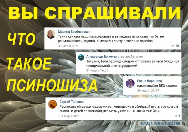 В Ульяновской области хотят открыть охоту на кошек и собак