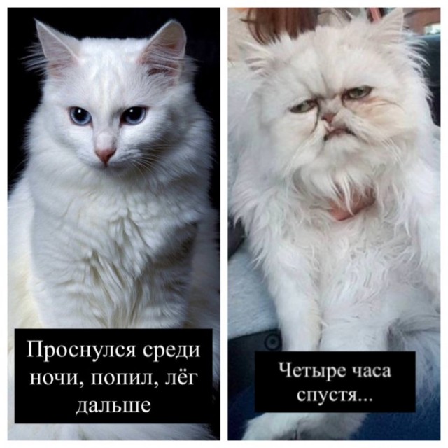 Немного картинок для настроения 20.06.20