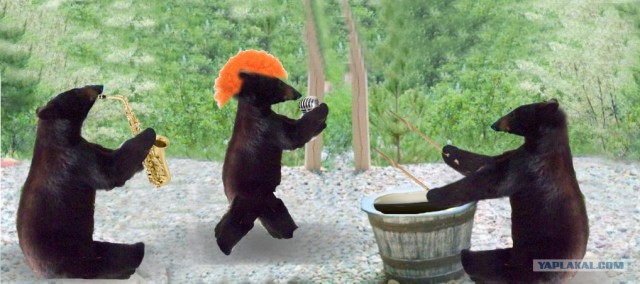 Фотожаба: Кто пил из бочки и все выпил?