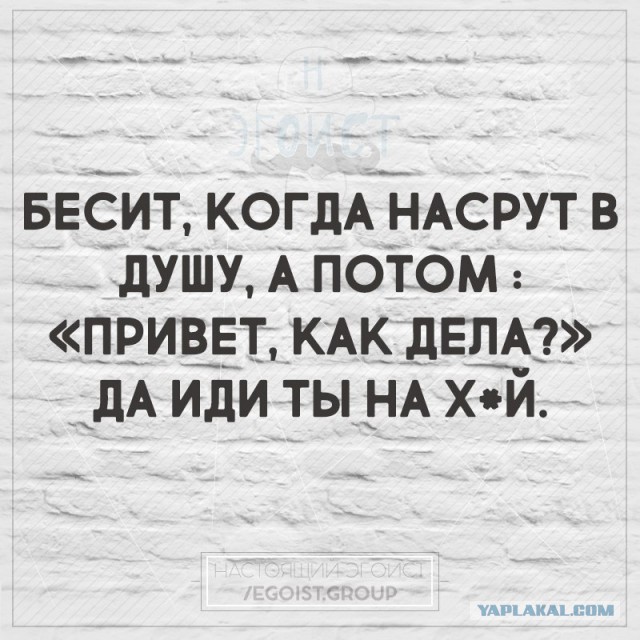 Точно сказано, верно подмечено...