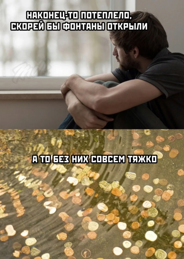 Кретинизмы из ЛМ и ЛЩ 15.03.2021