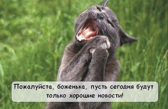 В этнические кафе Петербурга пришел СОБР