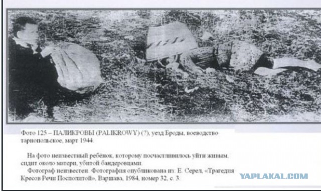 Не забывайте люди об этих зверях, никогда