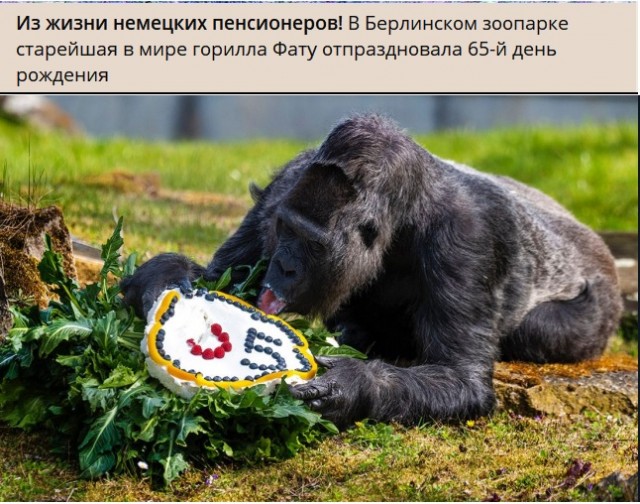 Картинки с надписями и всякие жизненные фразы