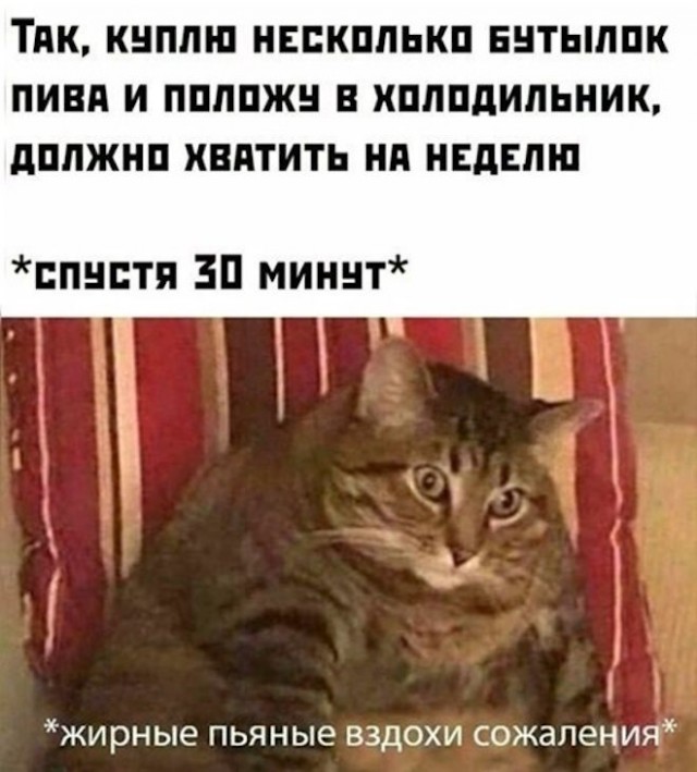 Картинки и мемы, всем хороших выходных