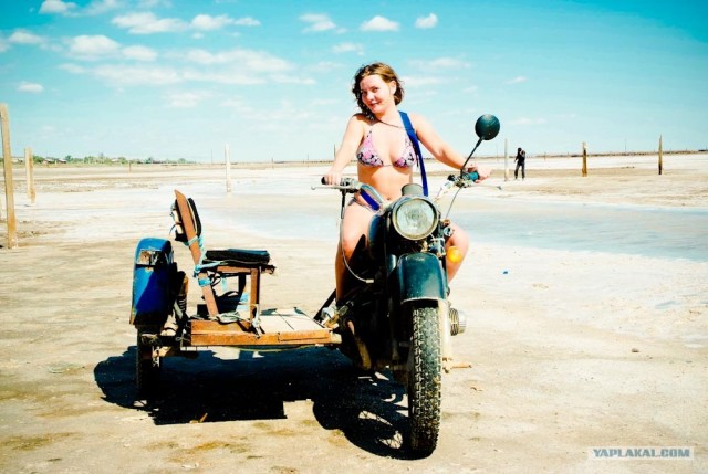 Вот в чем вся соль!