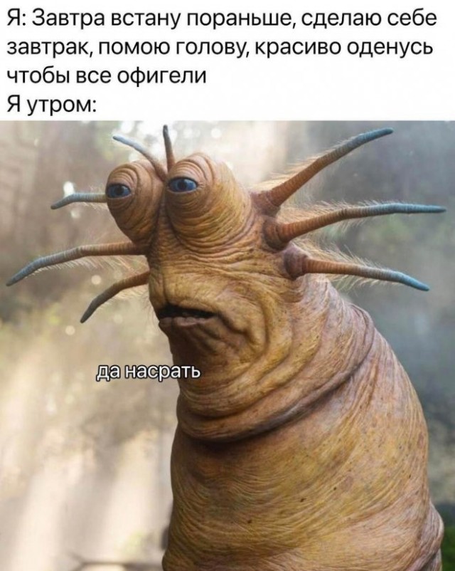 Картинки и мемы. Выходные близко...