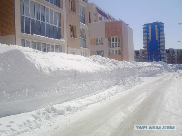 Весна на Камчатке
