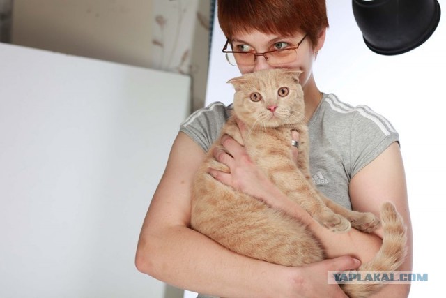 Котовторник 09.04.2013