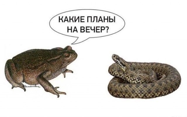 В отношении сотрудников ДПС, задержавших пьяную судью после ДТП в Калуге, возбудили уголовное дело