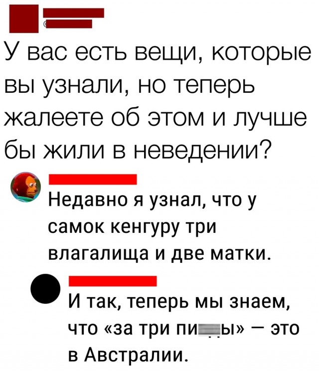 Так себе картинки 31.12.23