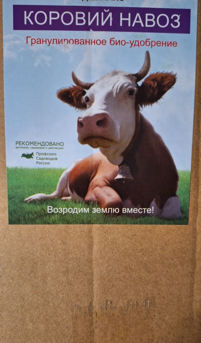 ВЦИОМ: уровень доверия россиян Путину превышает 79%