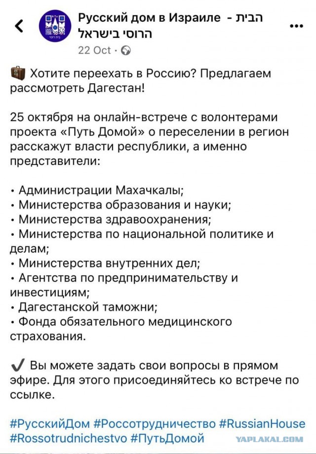 В Ленинградской области узбеков записали в коренные народности и даже выделили им денег на проведение «фестиваля плова» в местной школе на 3000 человек.