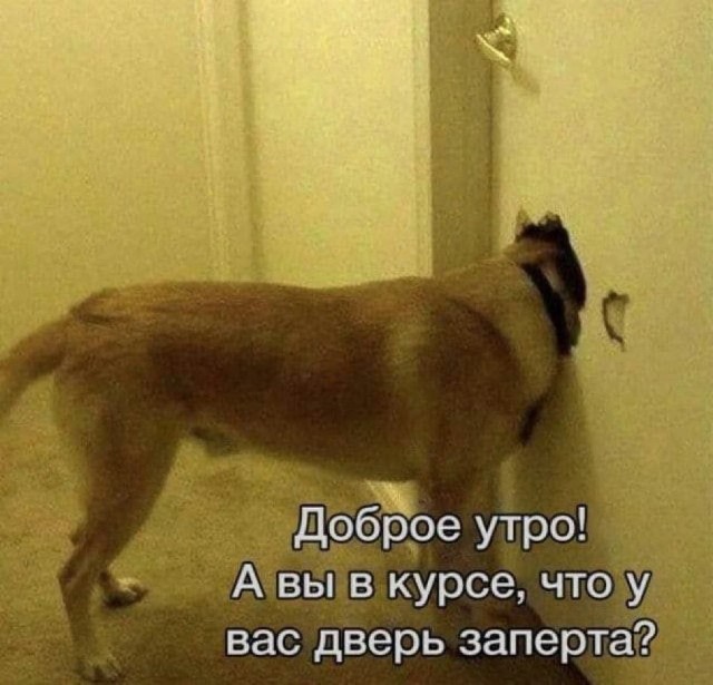 Нуштош 25.10.2024