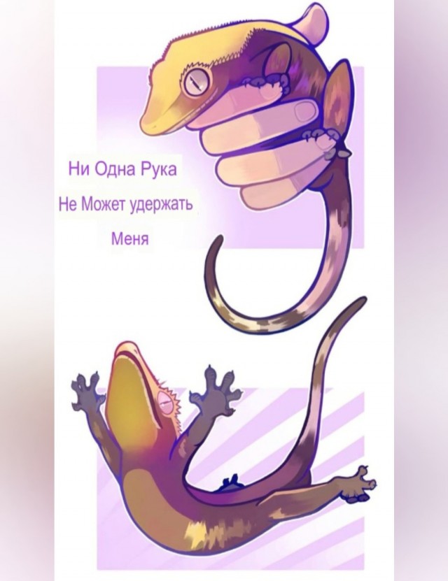 Картинки для деградации (разной степени свежести)