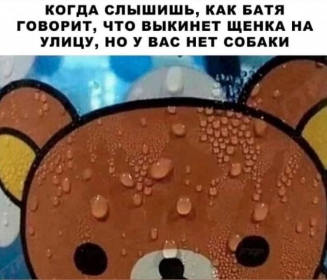 Веселые картинки в пятницу (08.08)