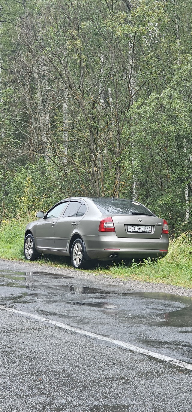Грибов.есть-2