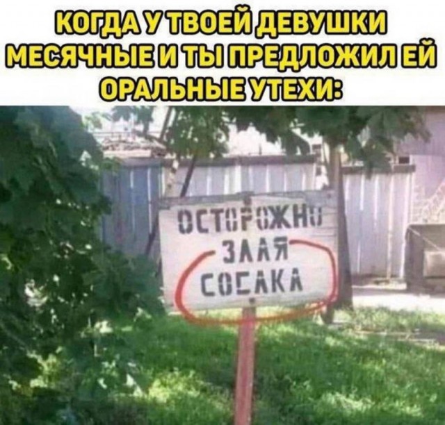 Забавные и не очень скромные картинки - 10