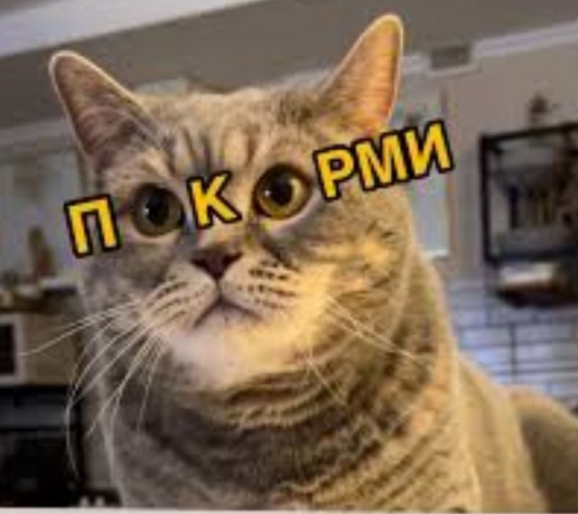 «Ирония судьбы» по-уральски