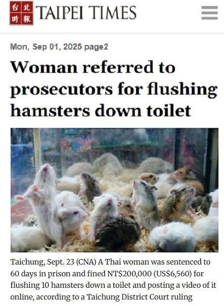 Жизнь продолжается