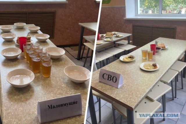 Субботние картинки