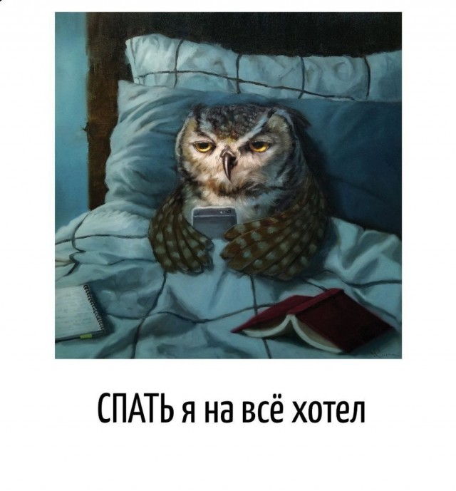 Игра слов в картинках
