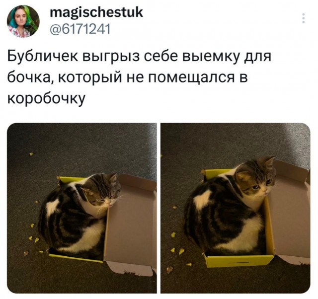 Пятница . Картинки