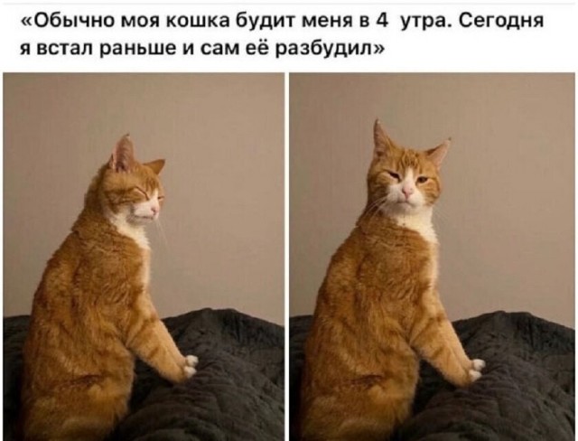 Пятничные картинки