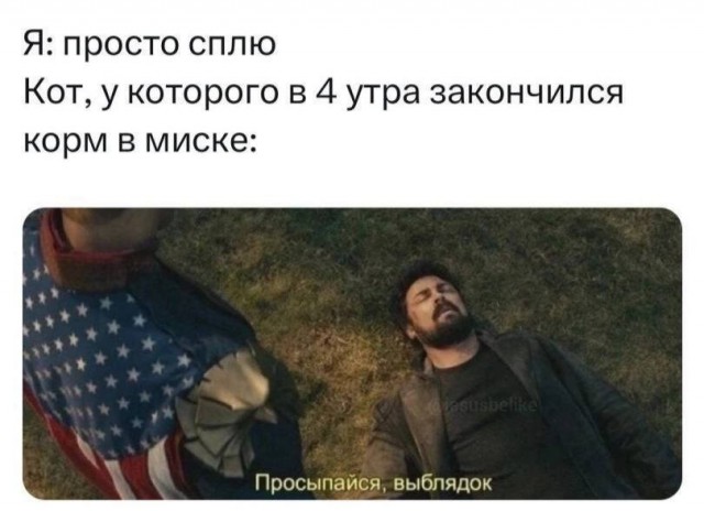 Картинки для деградации 149 (разной степени свежести)