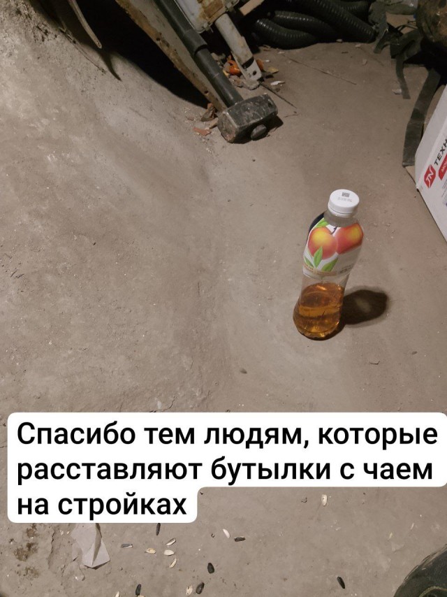 Картинки для деградации 158 (разной степени свежести)