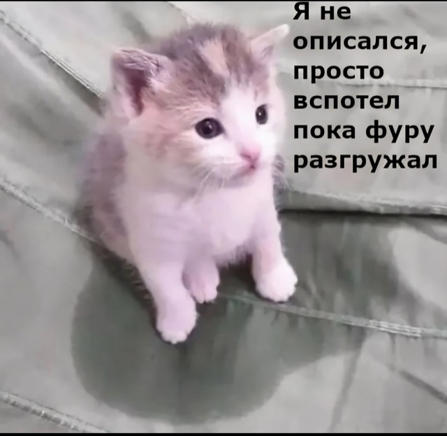 Пакет брать будете?