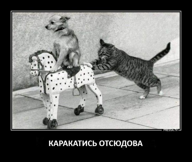 Игра в кальмара