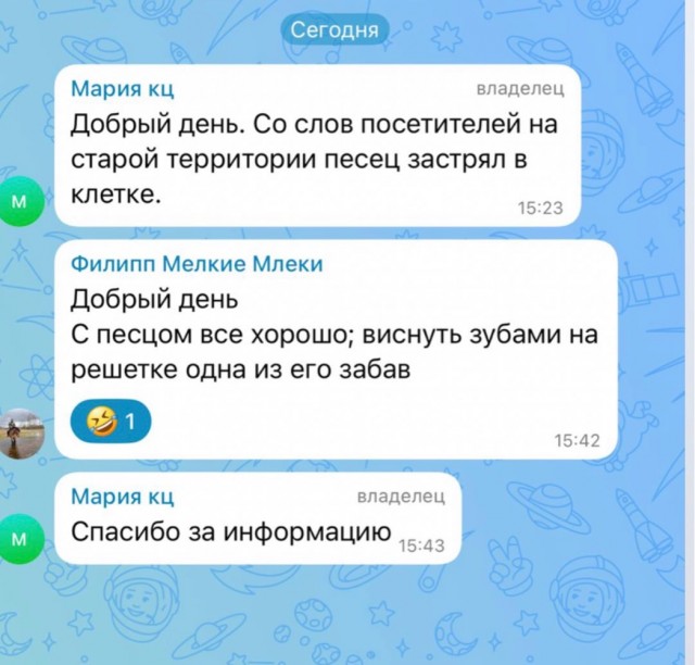 Все мы немного песец !