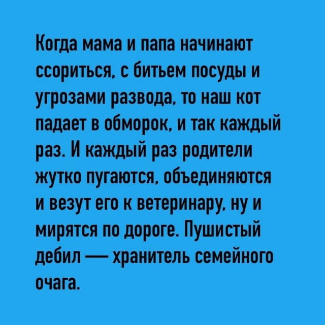 Так себе картинки 09.10.26