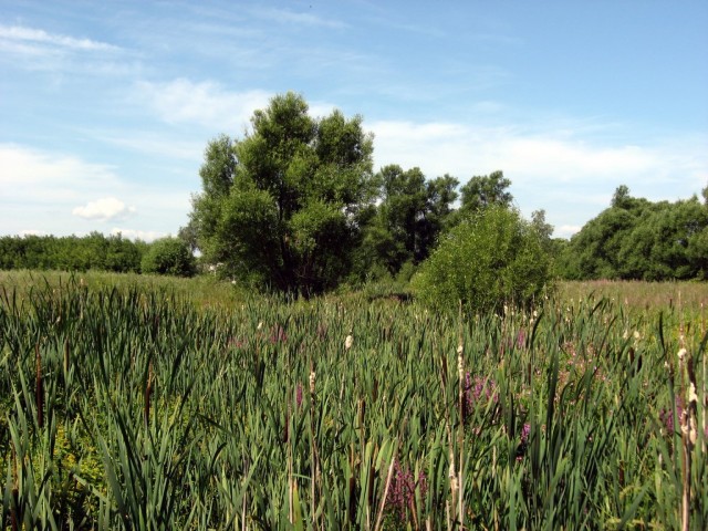 Поездка на Тамбовщину