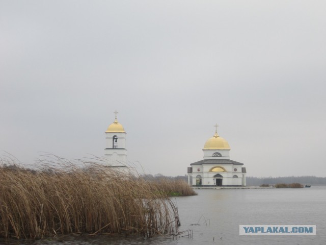 Про щуку, суку и немцев.