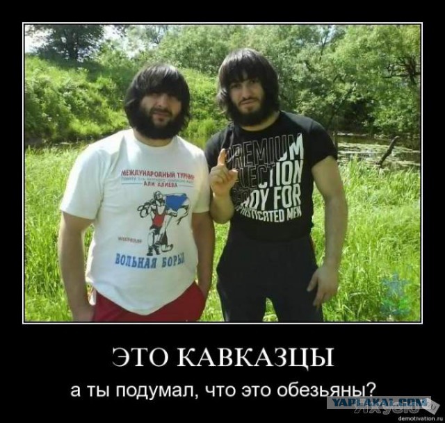 Гимн Чечни