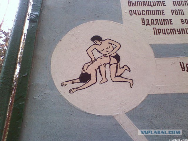 Маразмы года 2013