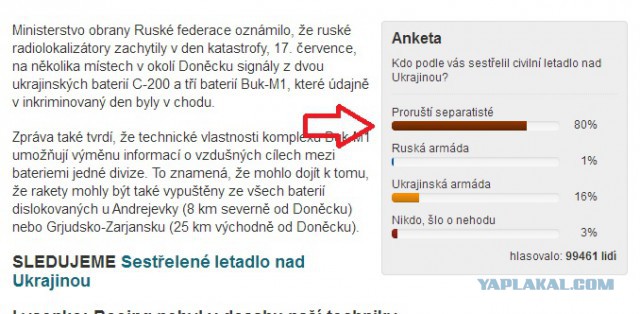Народ не обманешь.  Чехи о катастрофе.