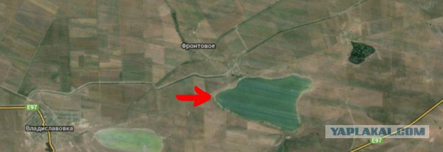 Крымский сомик