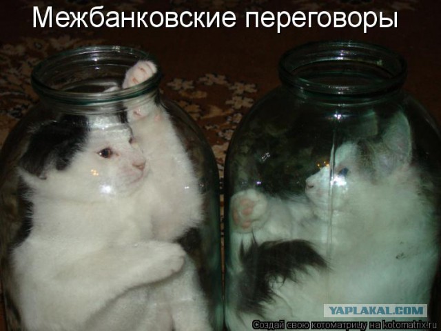 Немного смешных картинок из сети