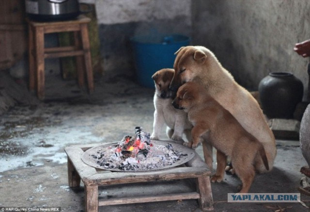 Лучшие фотографии года