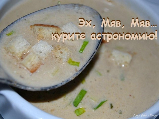 Суп, который так и не попробовал друг.