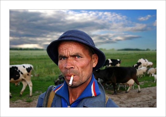 Е*ать корову